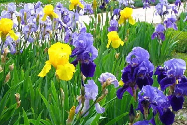 Автобусный тур в Ротшильд Парк