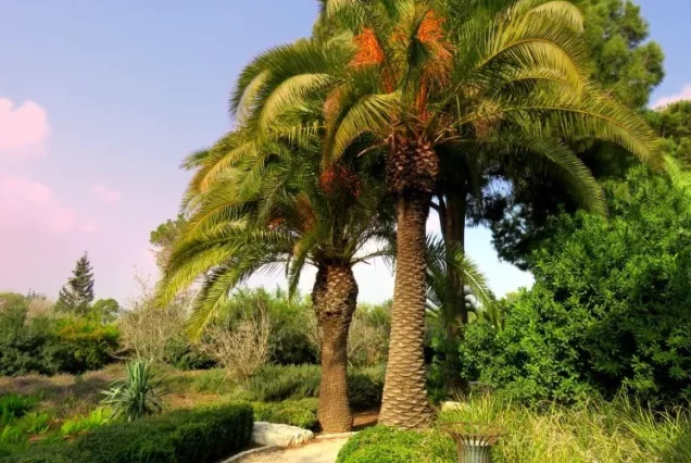 Автобусный тур в Ротшильд Парк