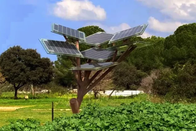 Автобусный тур в Ротшильд Парк