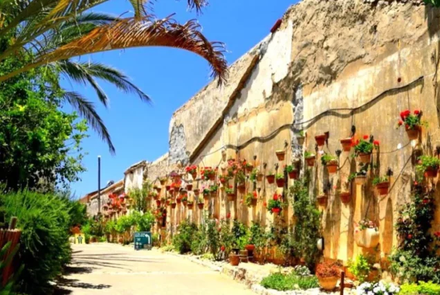 Автобусный тур в Зихрон Яков