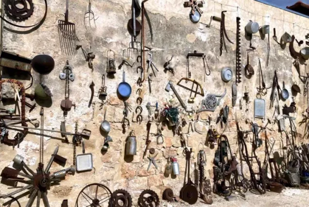 Автобусный тур в Зихрон Яков