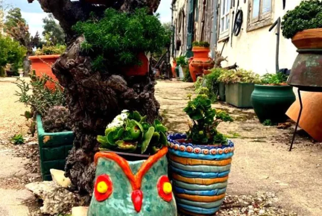 Автобусный тур в Зихрон Яков