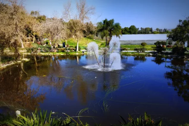 Автобусный тур в Кейсарию