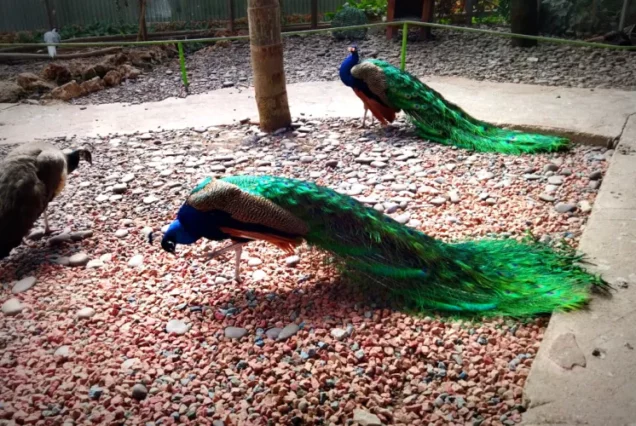 Автобусный тур в Кейсарию