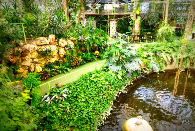 Автобусный тур в Кейсарию