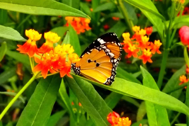 Автобусный тур в Кейсарию