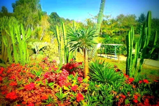 Автобусный тур в Кейсарию