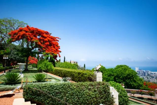 Автобусный тур Хайфа