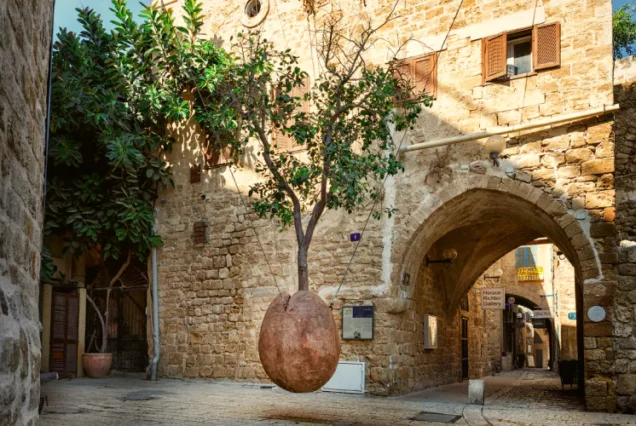 Автобусный тур в Тель-Авив. Сафари, зоопарк под открытым небом