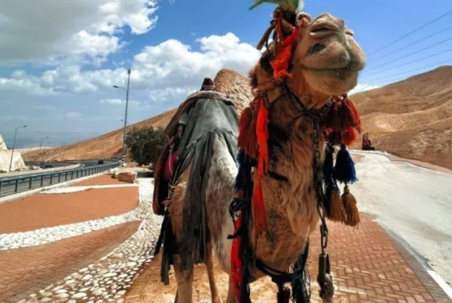 Мертвое море, пляж Калия