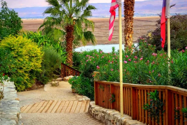 Мертвое море, пляж Калия